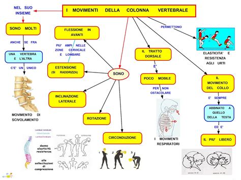 I MOVIMENTI 